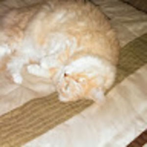 Meet your Posher, Beverly